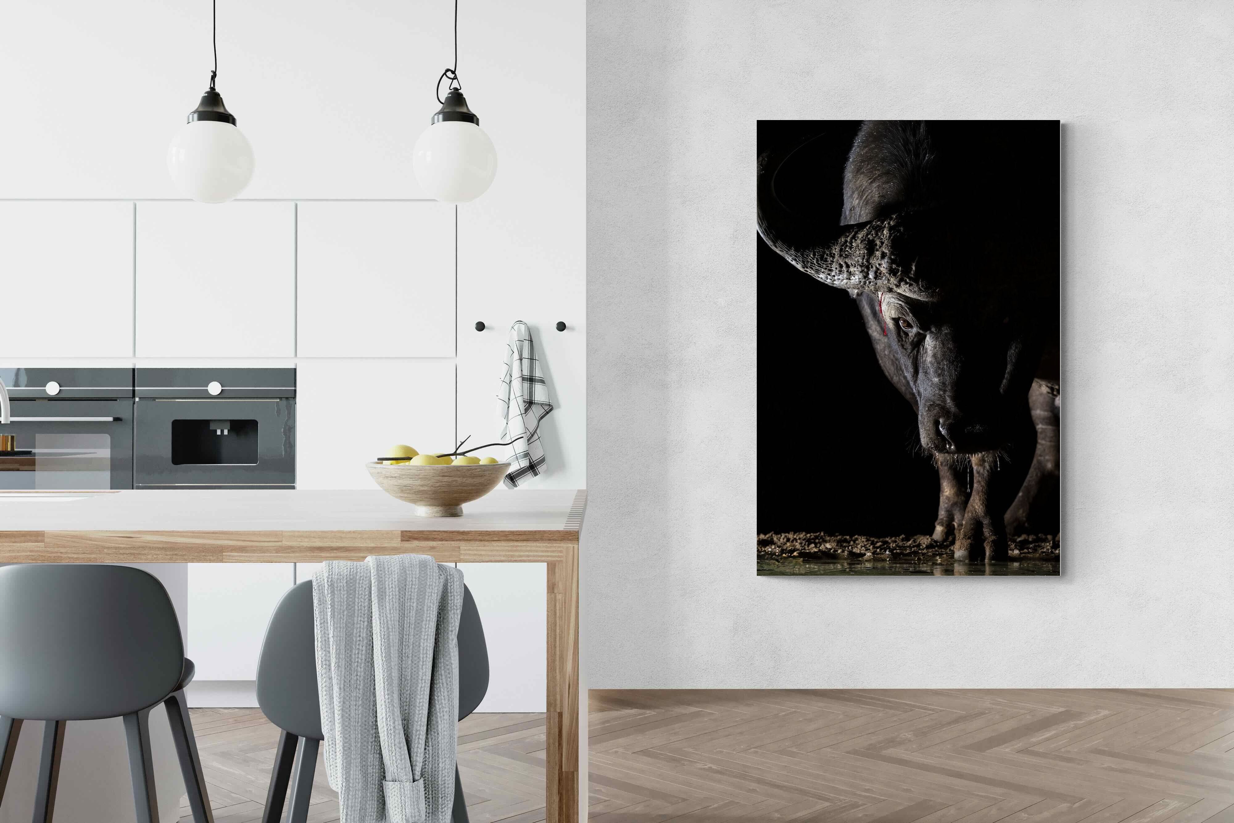 Pixalot Midnight Stare