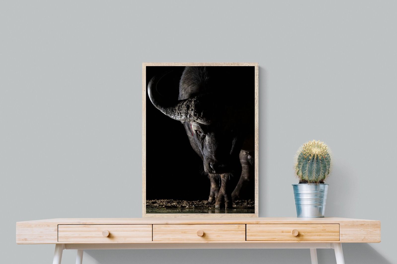 Pixalot Midnight Stare