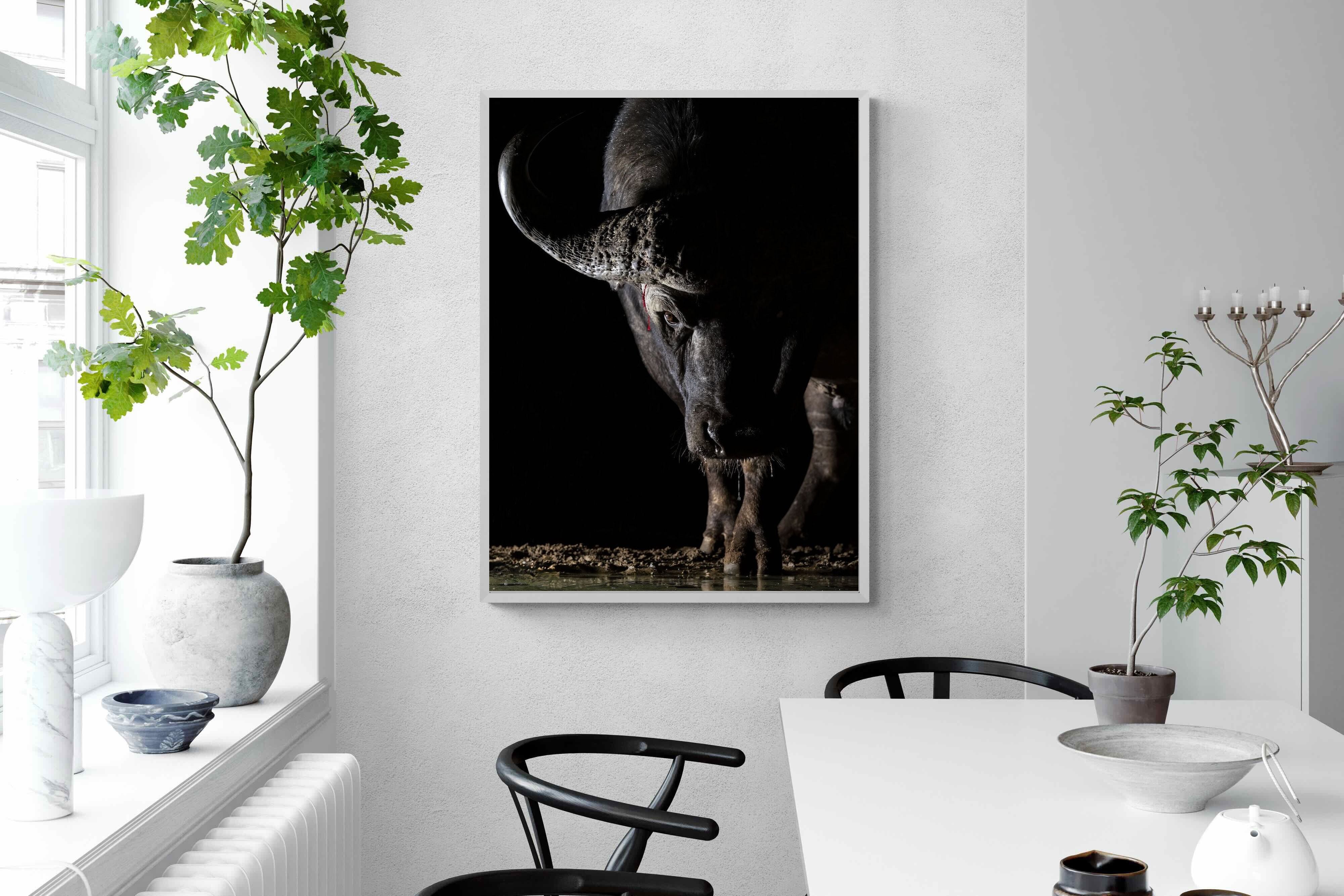 Pixalot Midnight Stare