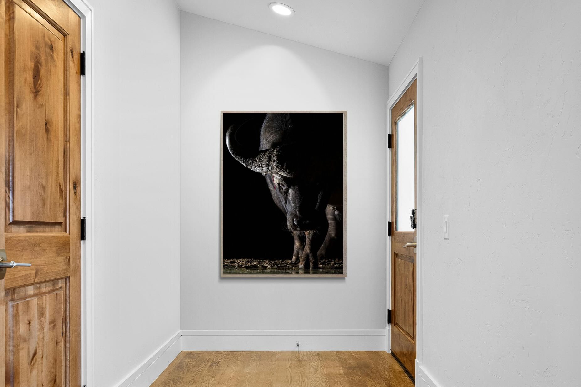 Pixalot Midnight Stare