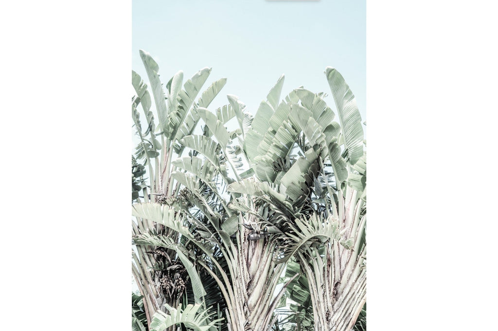 Minty Tropics-Wall_Art-Pixalot