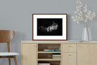 Pixalot ® Monochromatic Jellyfish