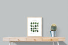 Pixalot Monstera Illustration Collection