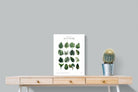 Pixalot Monstera Illustration Collection