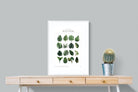 Pixalot Monstera Illustration Collection