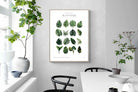 Pixalot Monstera Illustration Collection
