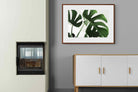 Pixalot ® Monstera