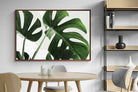 Pixalot ® Monstera