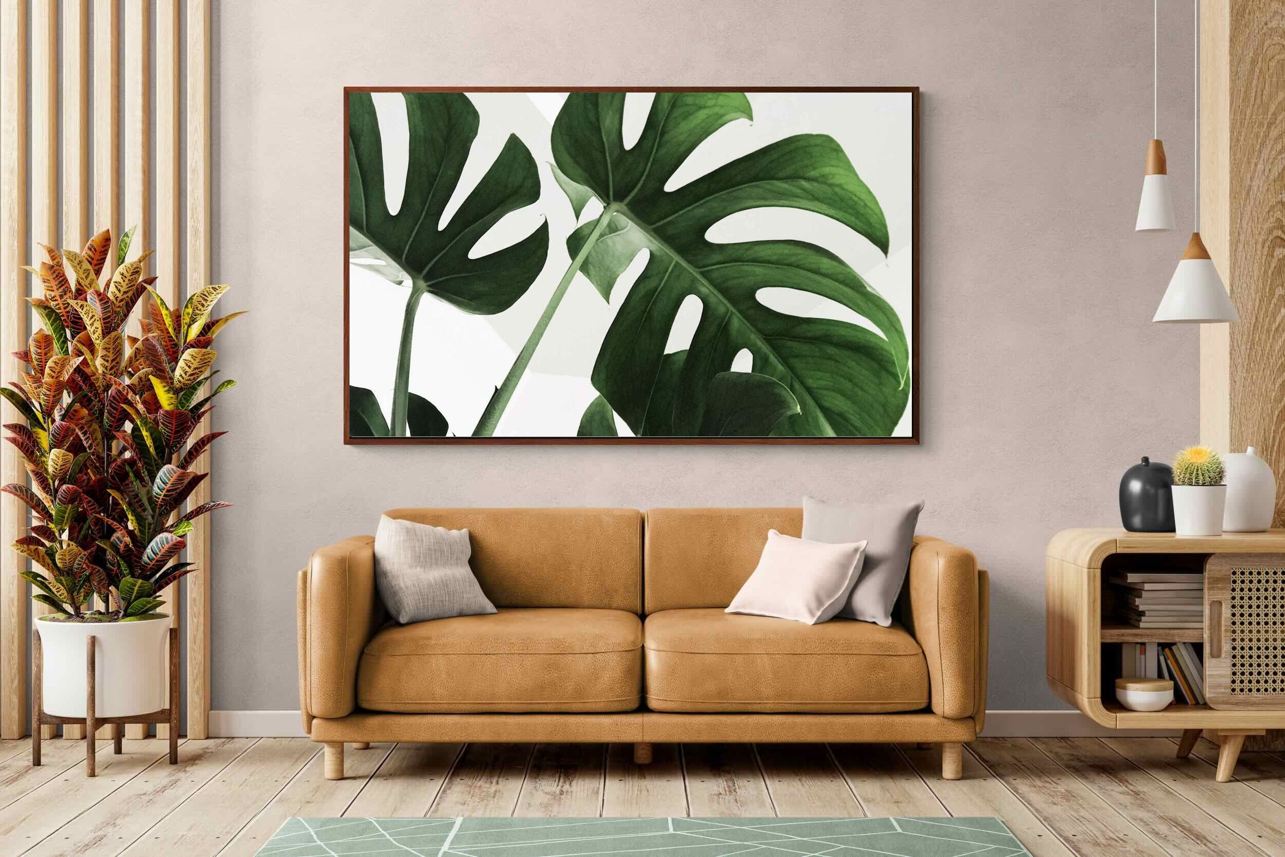 Pixalot ® Monstera