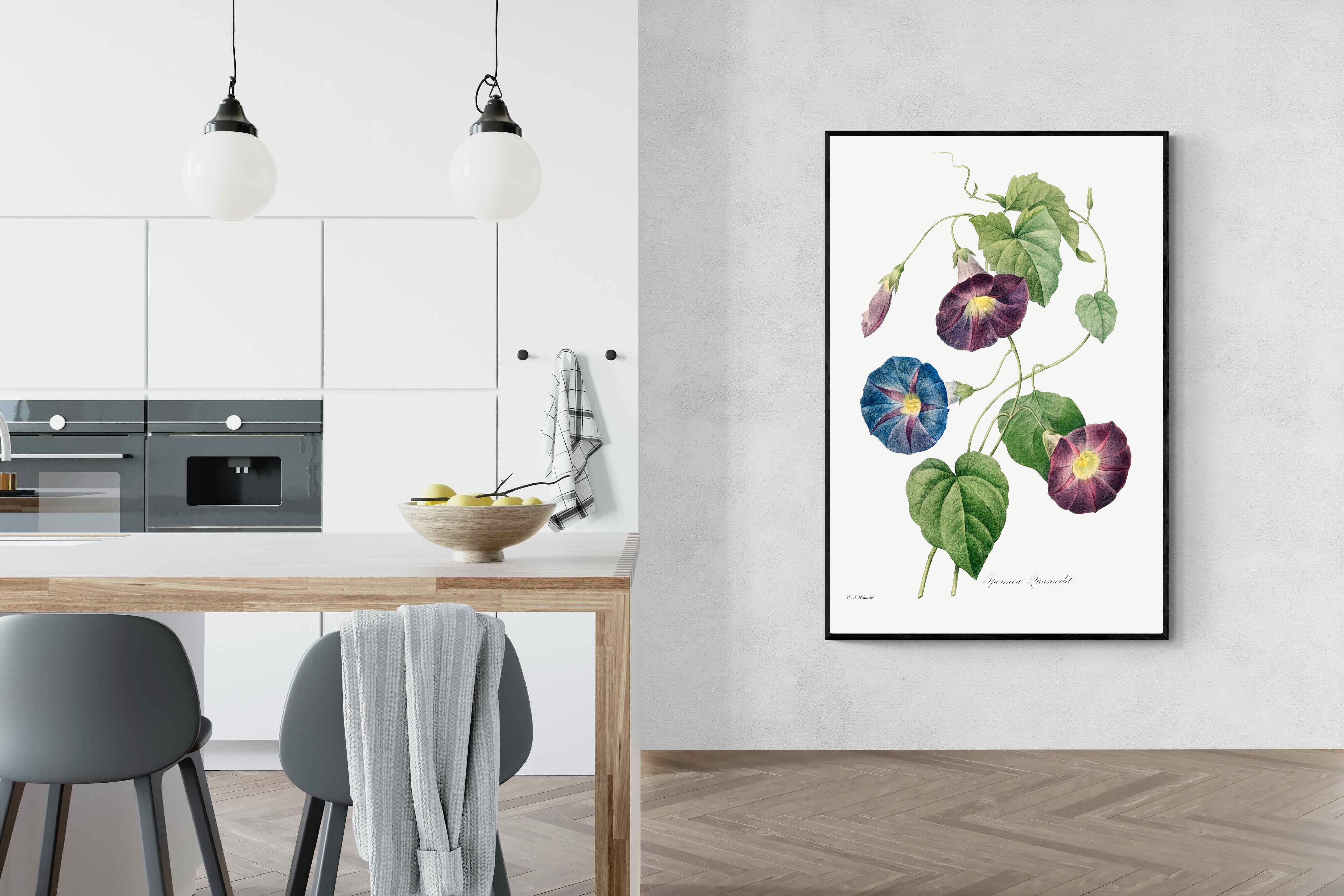 Pixalot Morning Glory Study