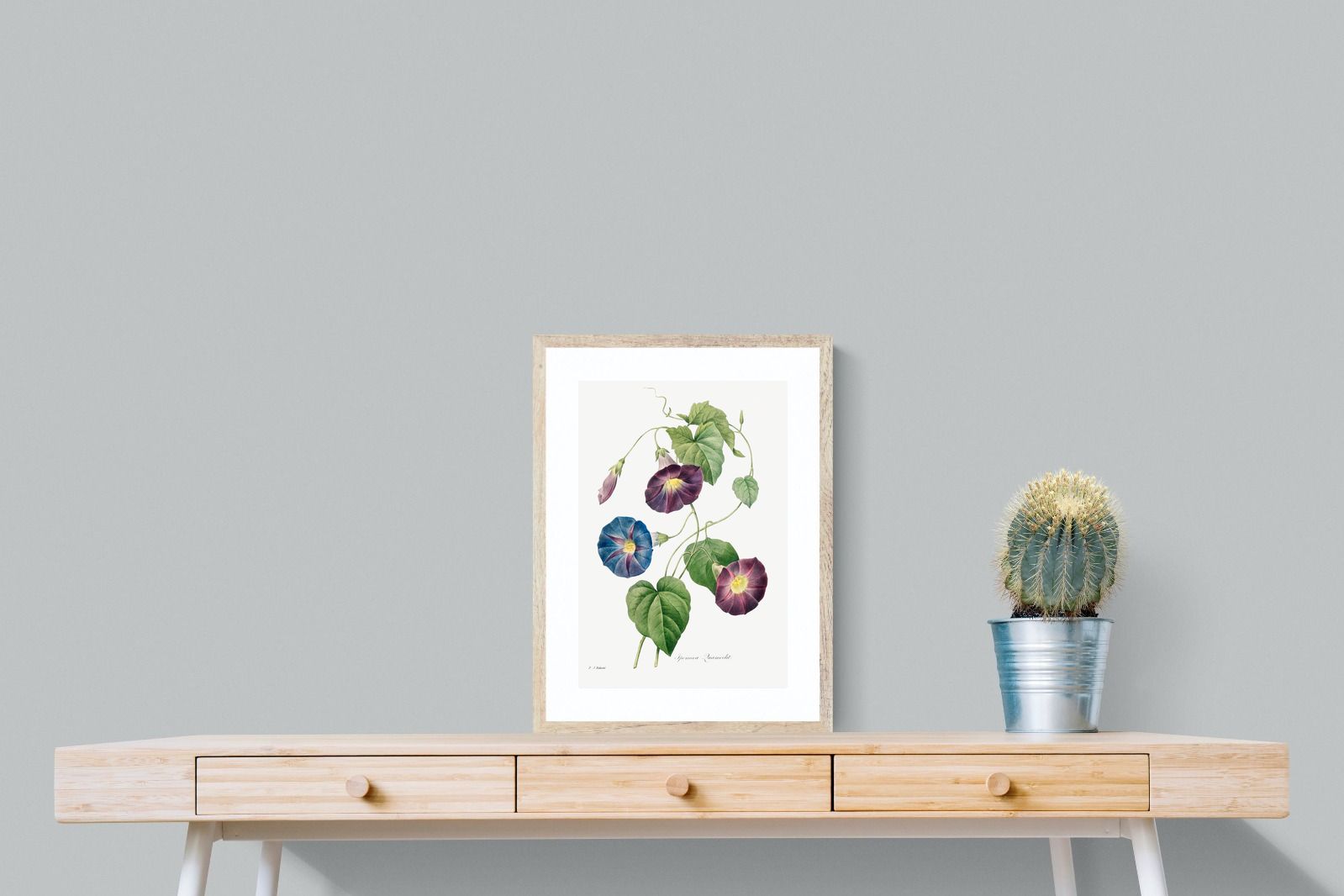 Pixalot Morning Glory Study