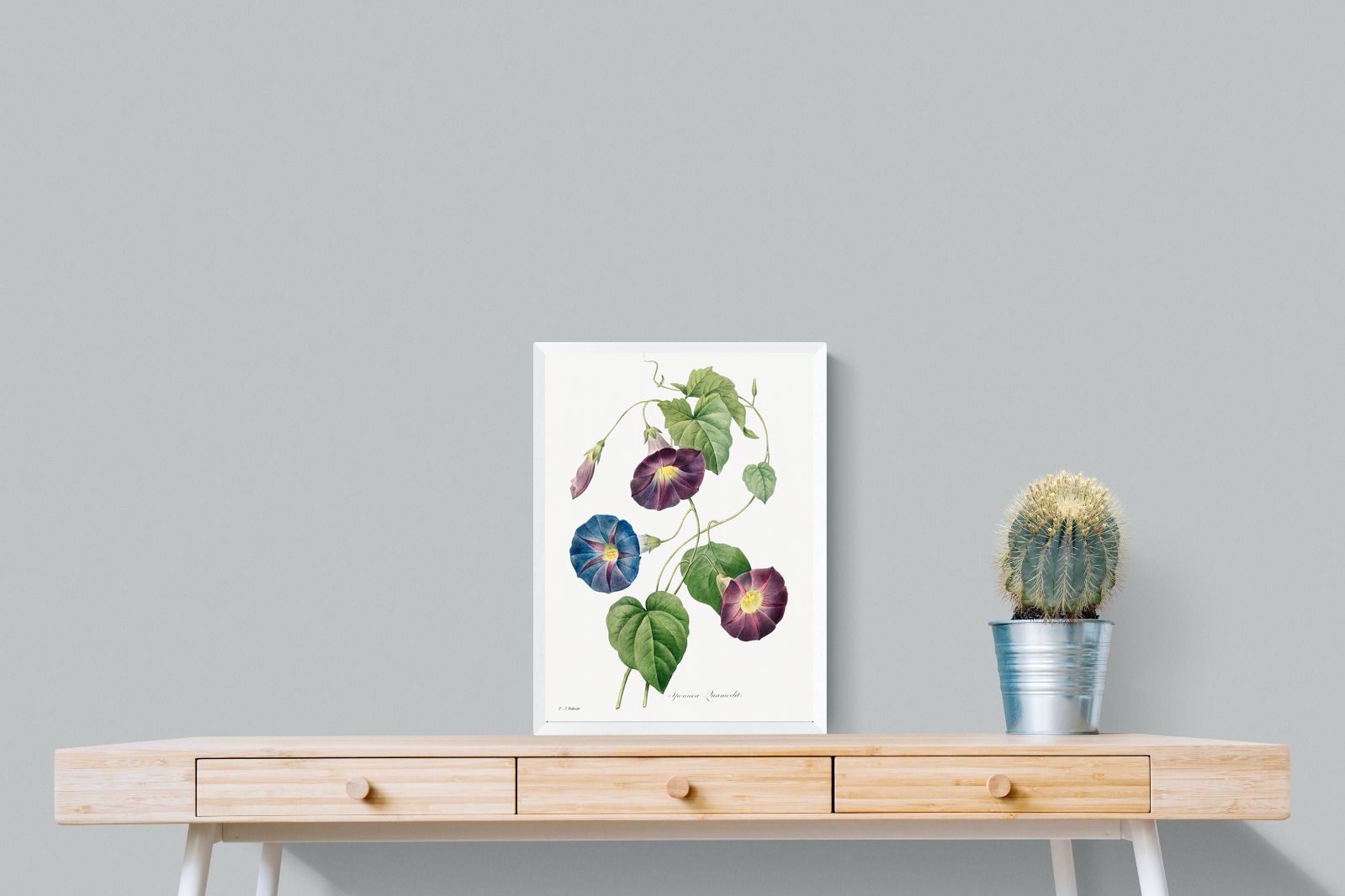 Pixalot Morning Glory Study