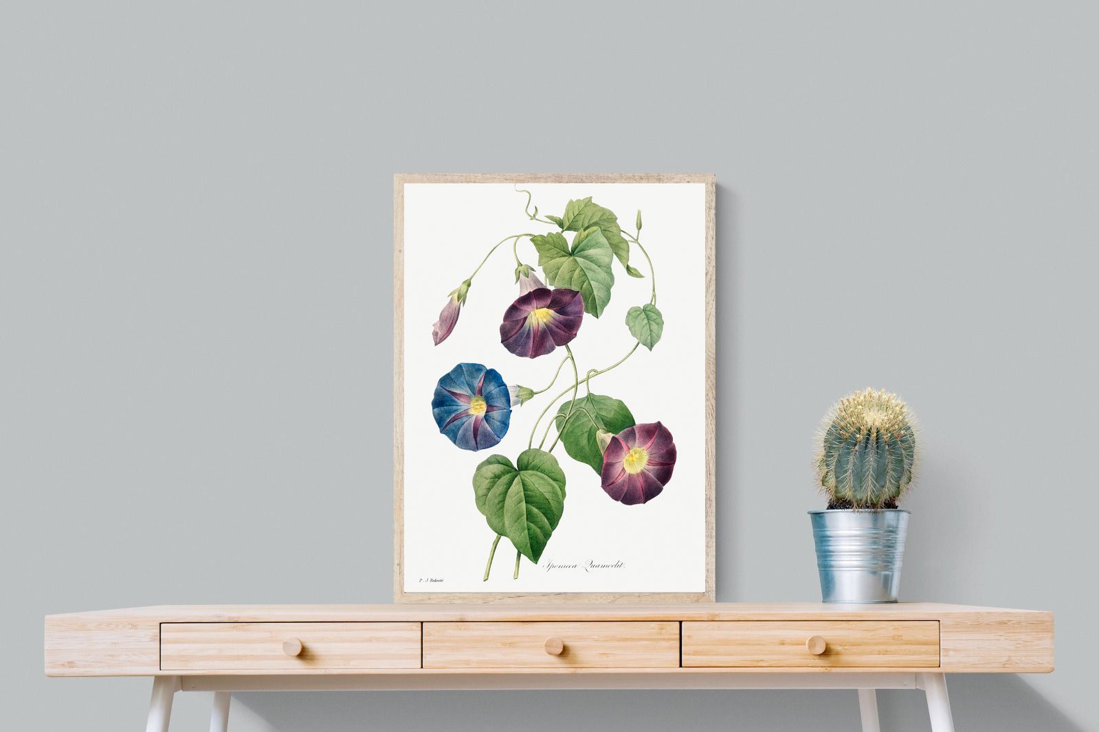 Pixalot Morning Glory Study