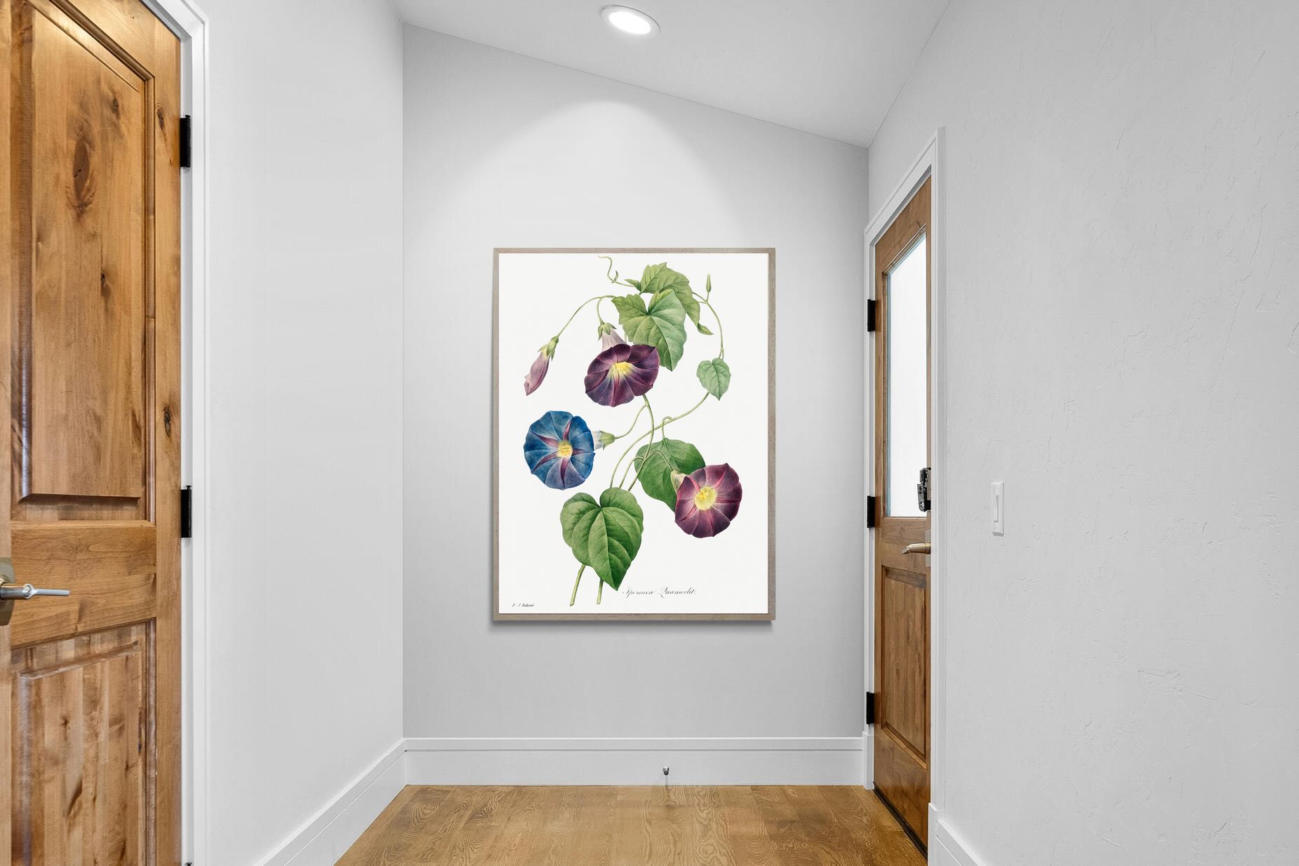 Pixalot Morning Glory Study