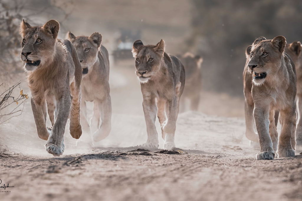 Moving Pride