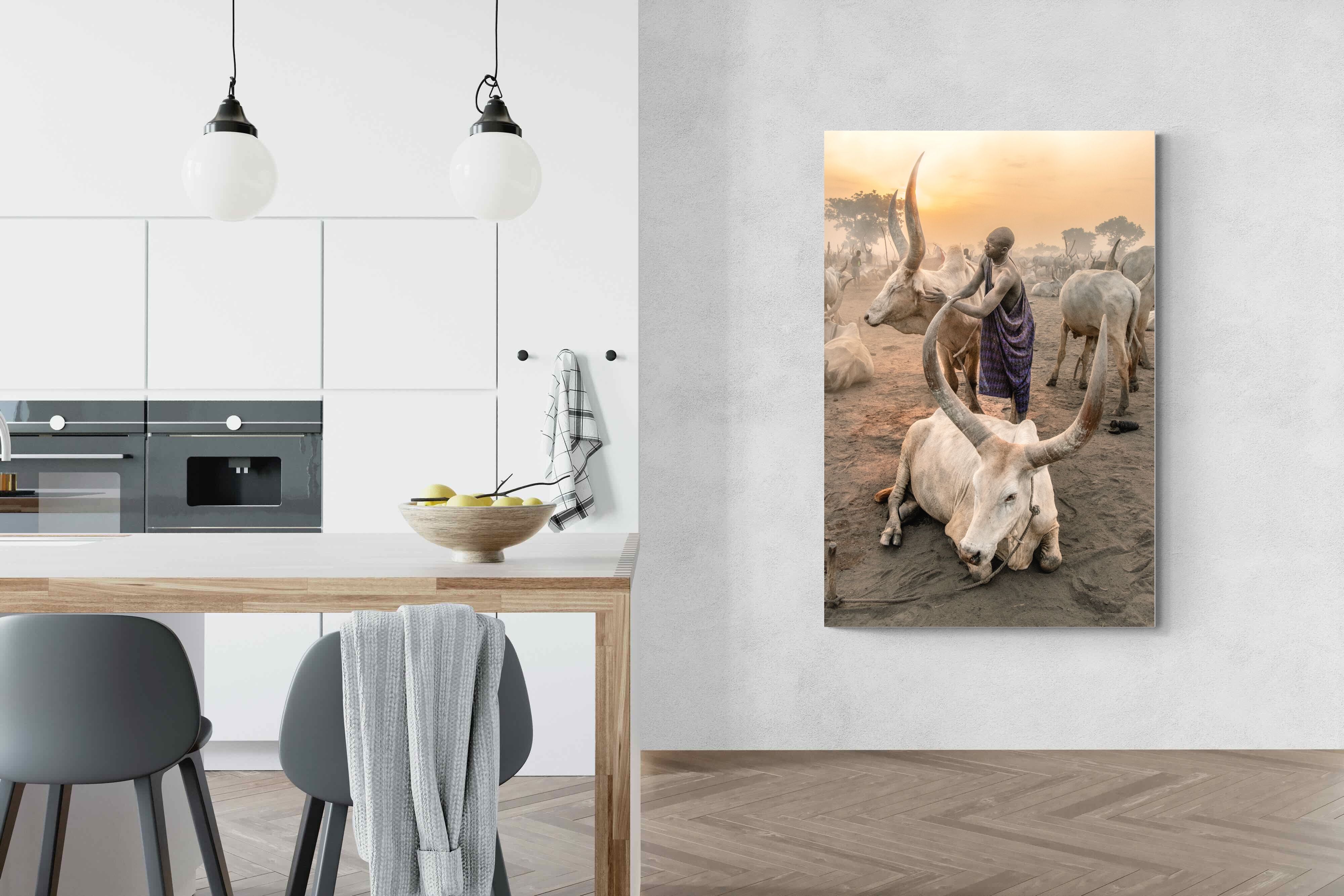 Pixalot Mundari Dawn