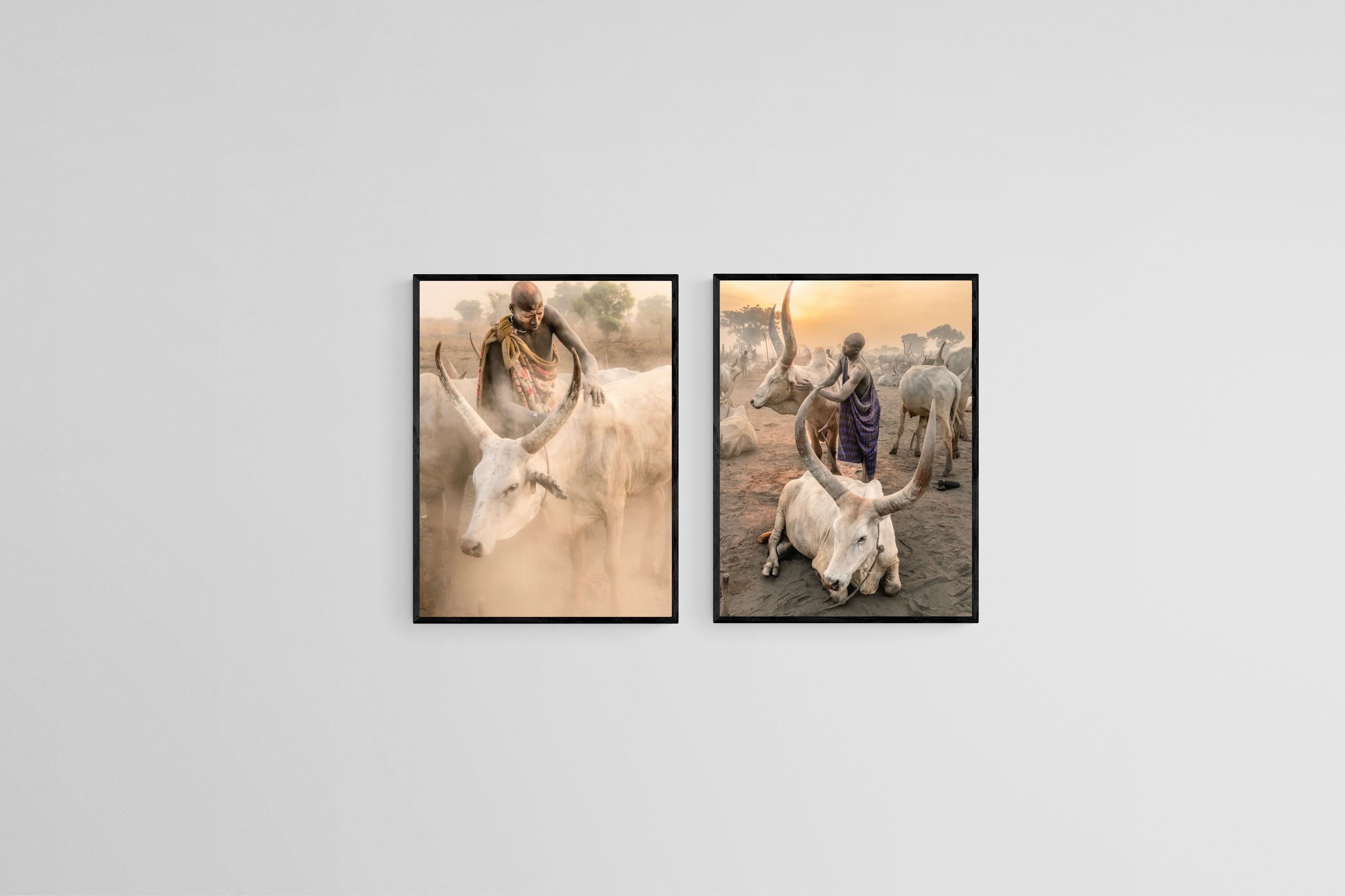 Mundari Watusi Set