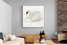 Pixalot Mute Swan