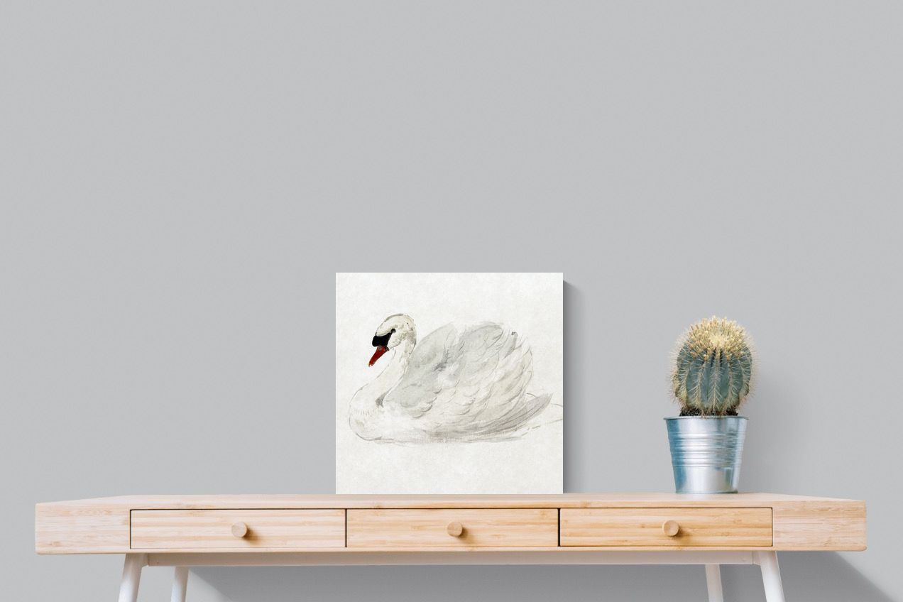 Pixalot Mute Swan