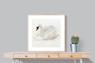 Pixalot Mute Swan