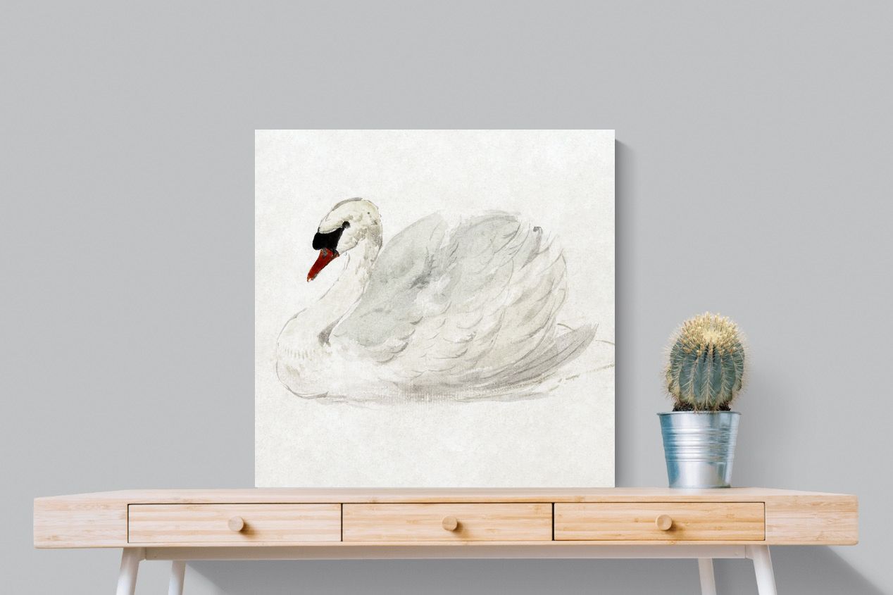 Pixalot Mute Swan