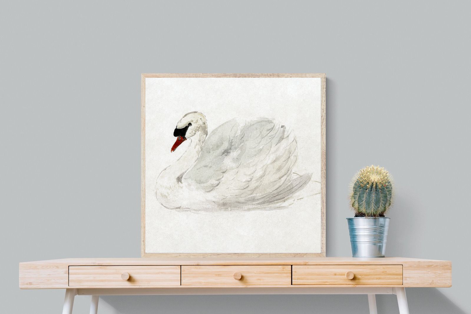 Pixalot Mute Swan