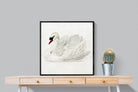 Pixalot Mute Swan