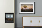 Pixalot Namibian Quiver Trees