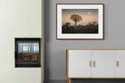 Pixalot ® Namibian Quiver Trees