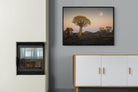 Pixalot Namibian Quiver Trees