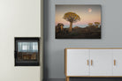 Pixalot Namibian Quiver Trees