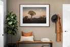 Pixalot ® Namibian Quiver Trees