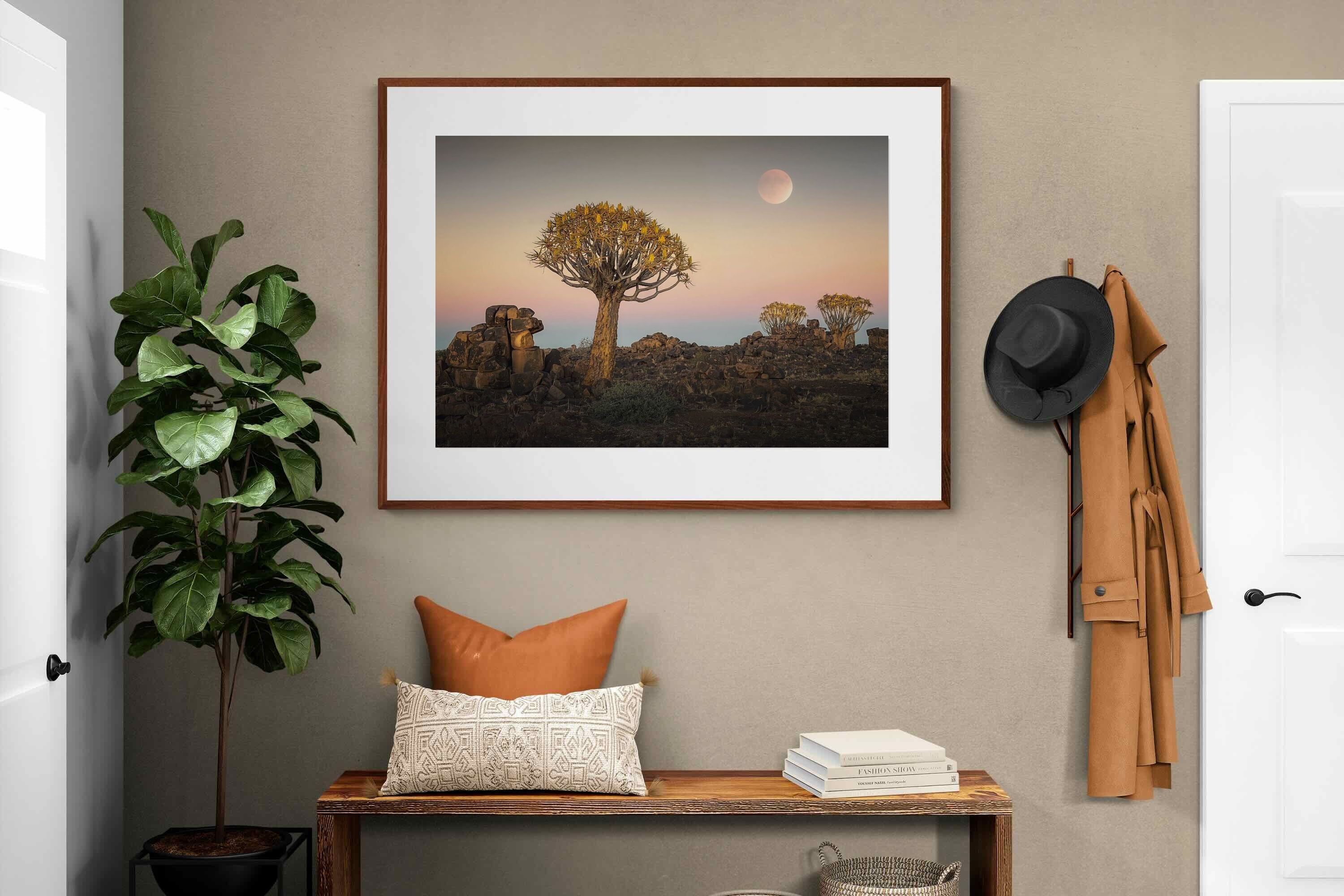 Pixalot ® Namibian Quiver Trees