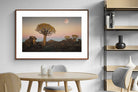 Pixalot ® Namibian Quiver Trees