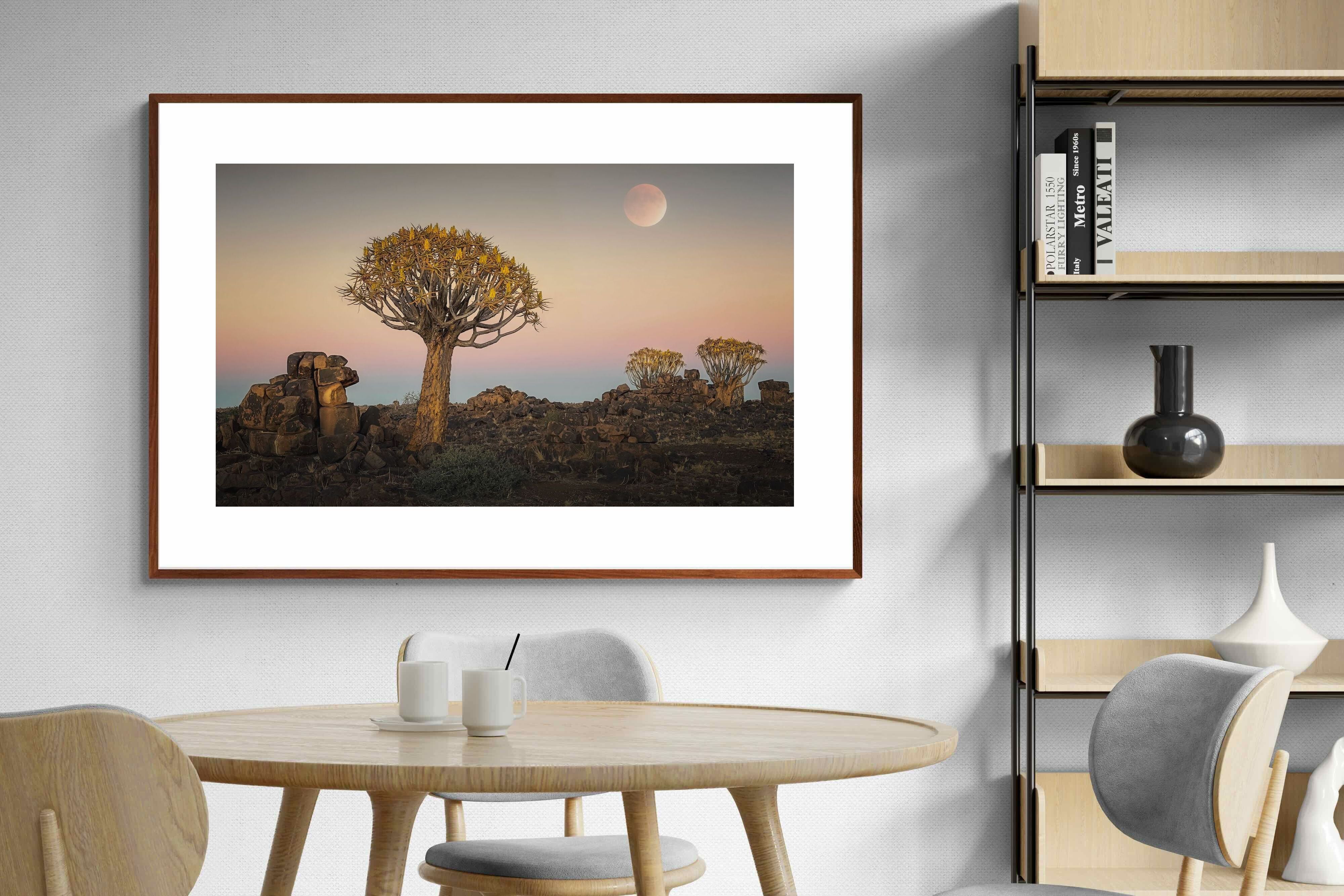 Pixalot ® Namibian Quiver Trees
