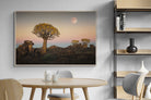 Pixalot Namibian Quiver Trees
