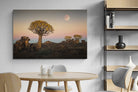 Pixalot Namibian Quiver Trees
