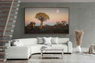 Pixalot ® Namibian Quiver Trees