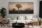 Pixalot Namibian Quiver Trees