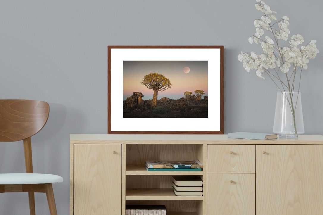 Pixalot ® Namibian Quiver Trees