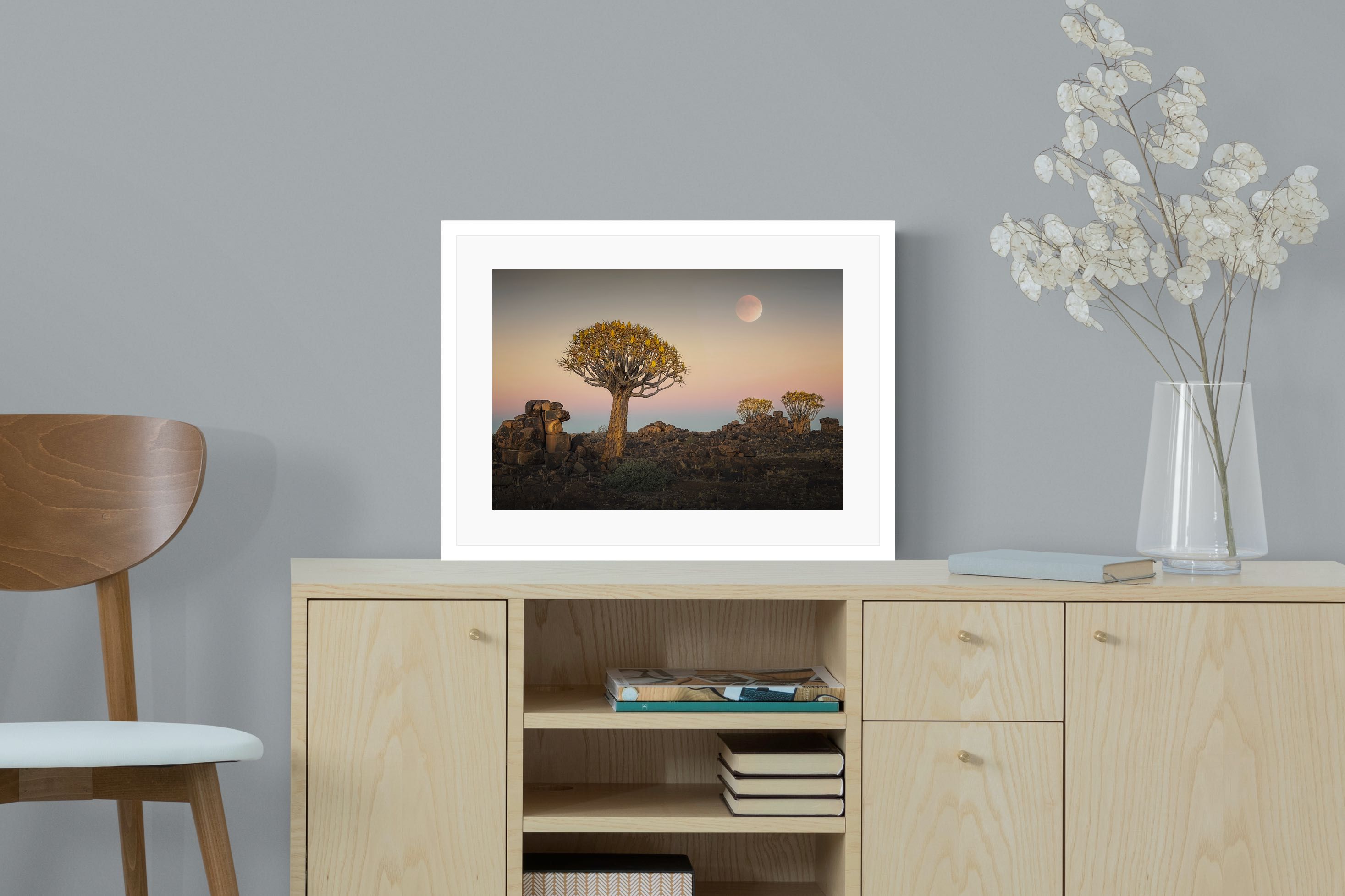 Pixalot Namibian Quiver Trees