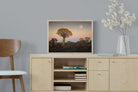 Pixalot Namibian Quiver Trees