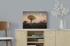 Pixalot Namibian Quiver Trees