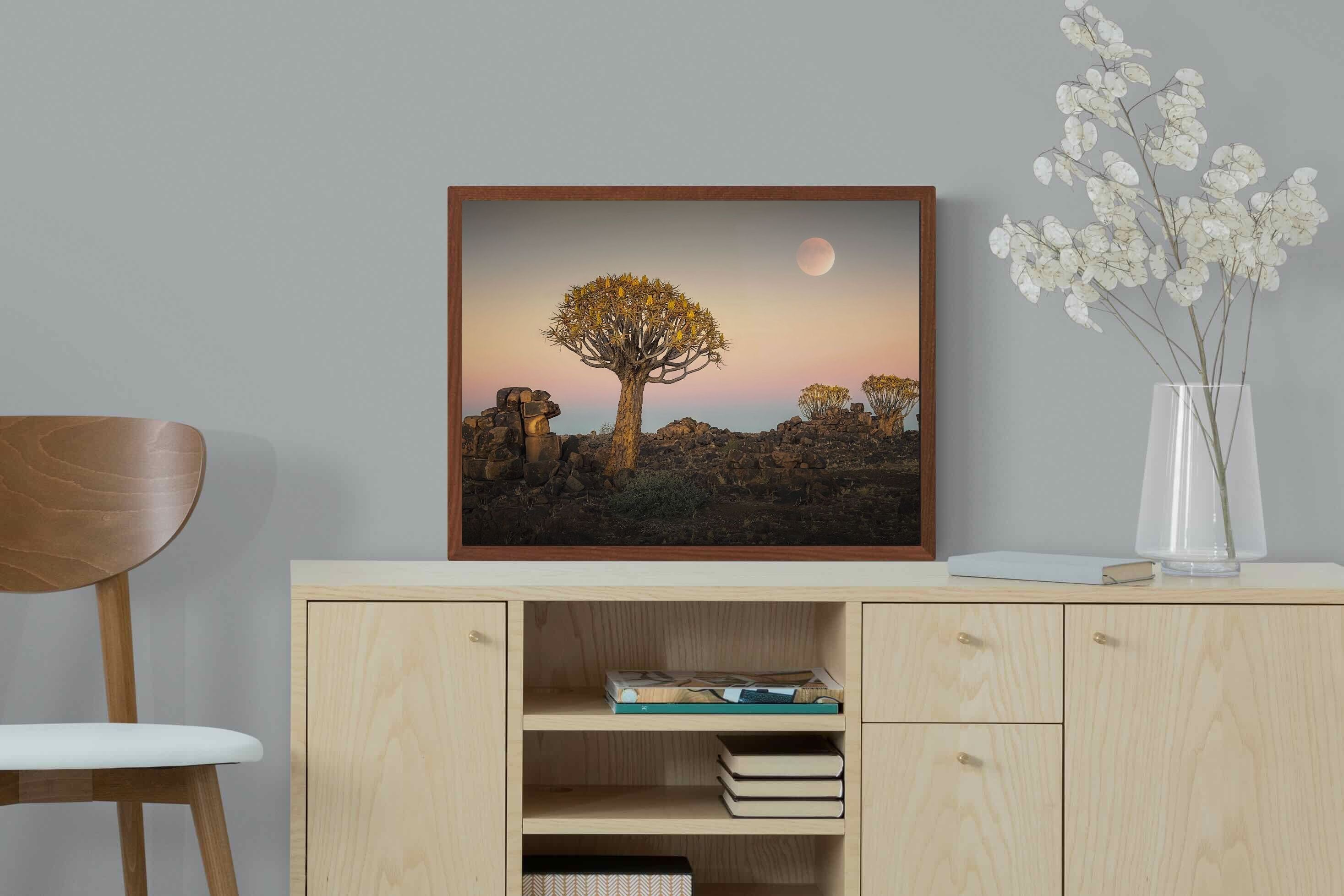 Pixalot ® Namibian Quiver Trees