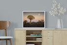 Pixalot Namibian Quiver Trees
