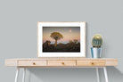 Pixalot Namibian Quiver Trees