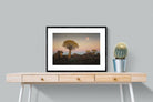 Pixalot Namibian Quiver Trees