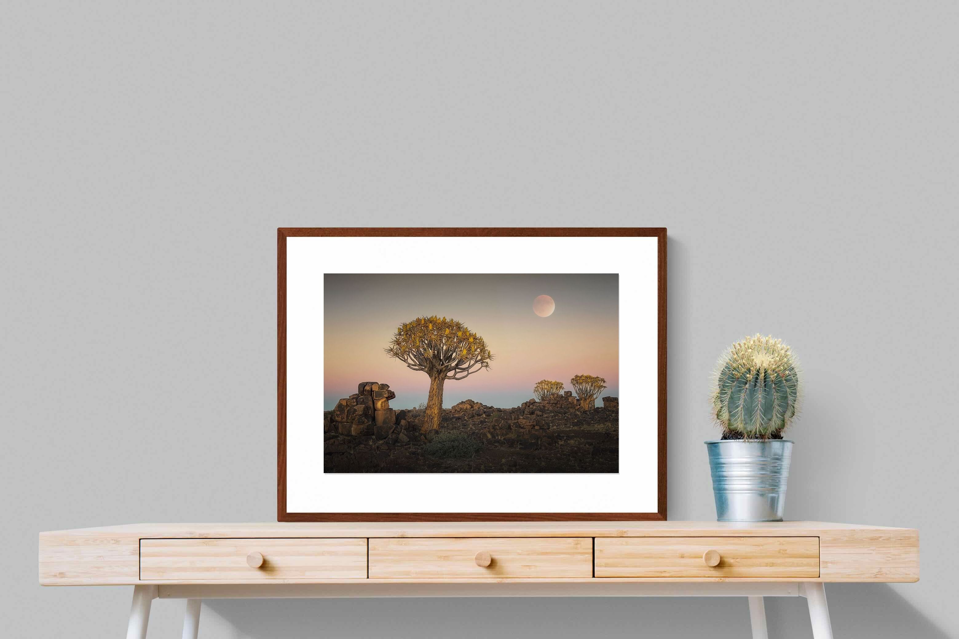 Pixalot ® Namibian Quiver Trees