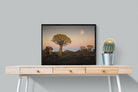 Pixalot Namibian Quiver Trees