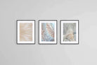 Natural Beauty Set-Wall_Art-60 x 80cm (x3)-Framed Print-Black-Pixalot